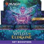 Magic the Gathering Wilds of Eldraine Set Booster 6 box case