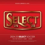 2024-25 Panini Select Premier League Soccer Mega 20 Box Case
