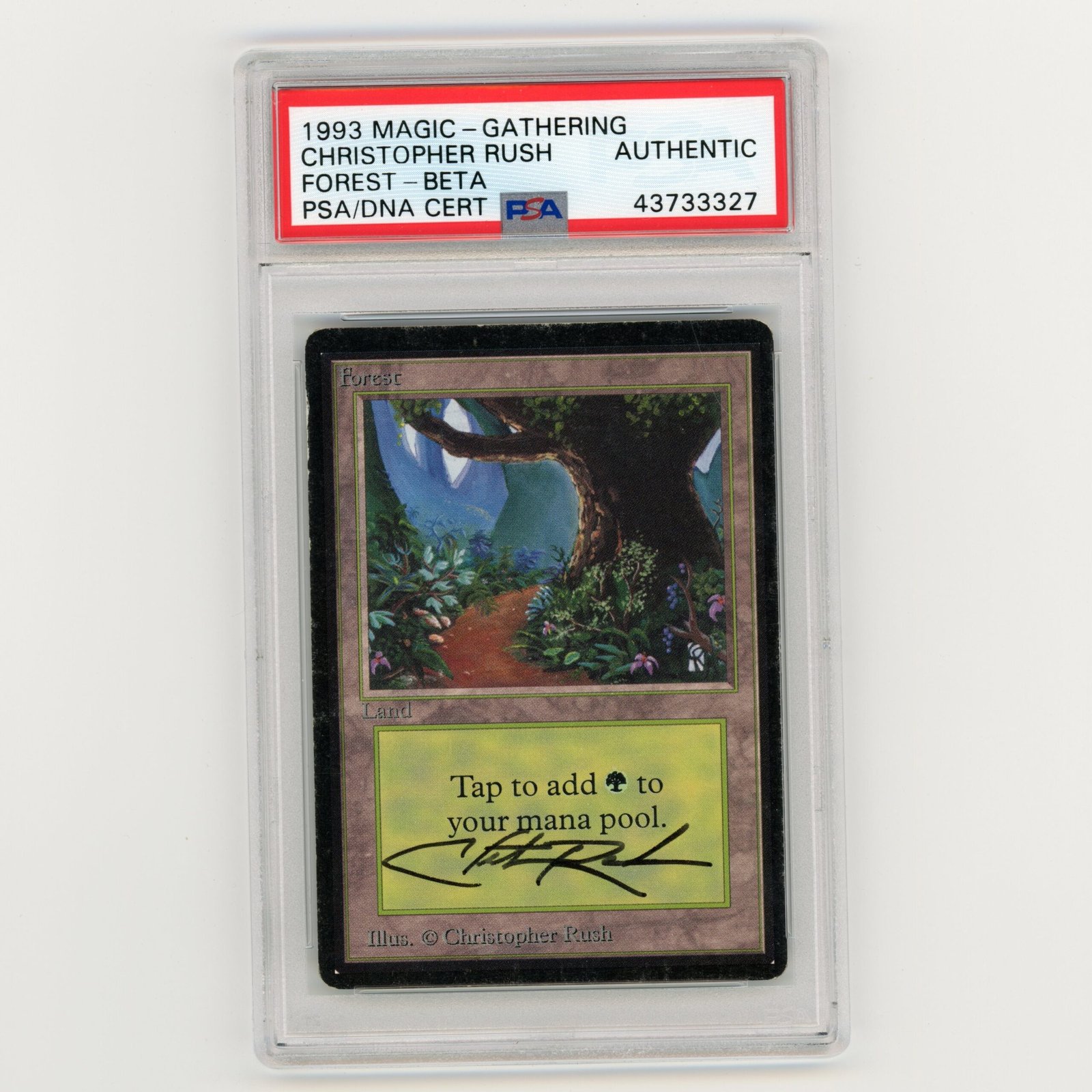img612.jpg 1993 Magic The Gathering Christopher Rush Forest Beta Authentic (#MW8024) - Image 1